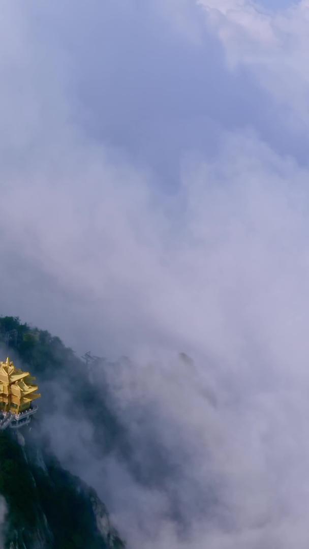 老君山在云海中航拍视频的预览图