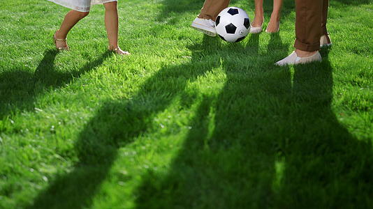 父母和孩子在绿色公园踢足球视频的预览图