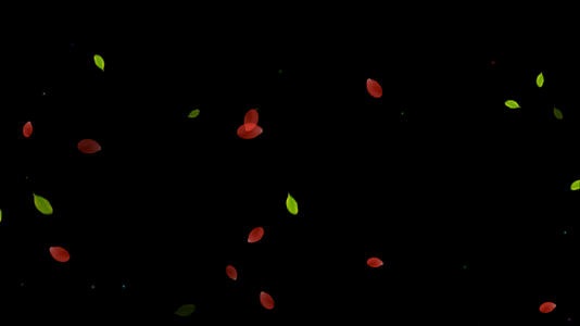 透明通道唯美的花瓣树叶素材视频的预览图