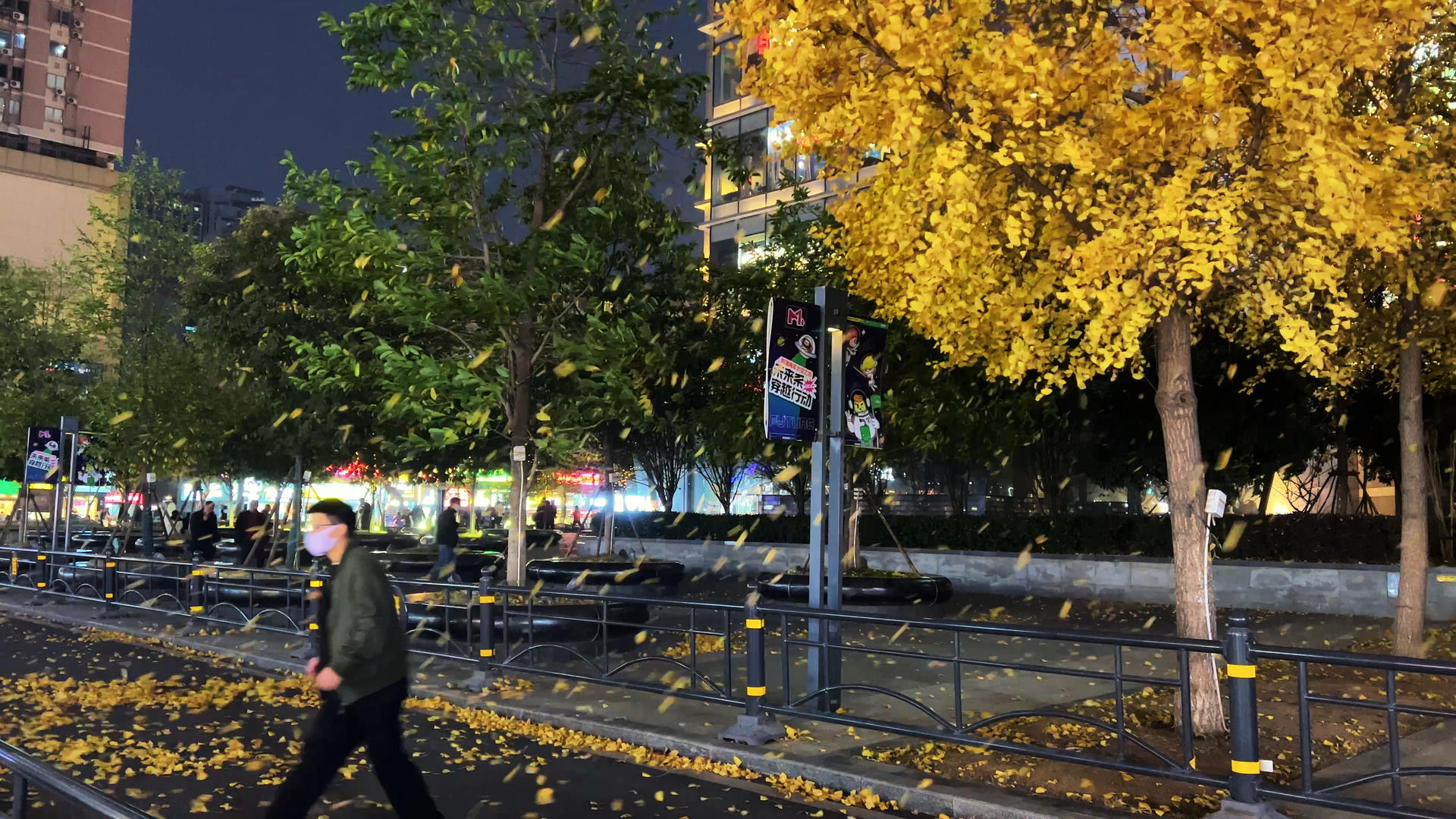 城市秋天季节银杏树叶秋风扫落叶4k素材视频的预览图