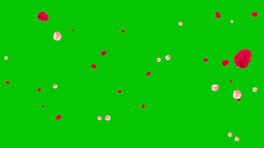 4K花瓣飘落绿屏抠像素材视频的预览图