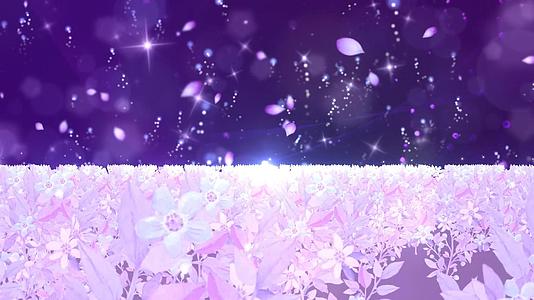 七夕清新唯美紫色花海动态光效粒子光晕舞台背景视频视频的预览图
