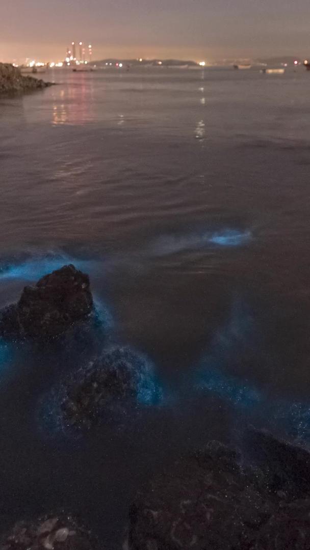 奇观荧光海滩火星潮景景景视频的预览图