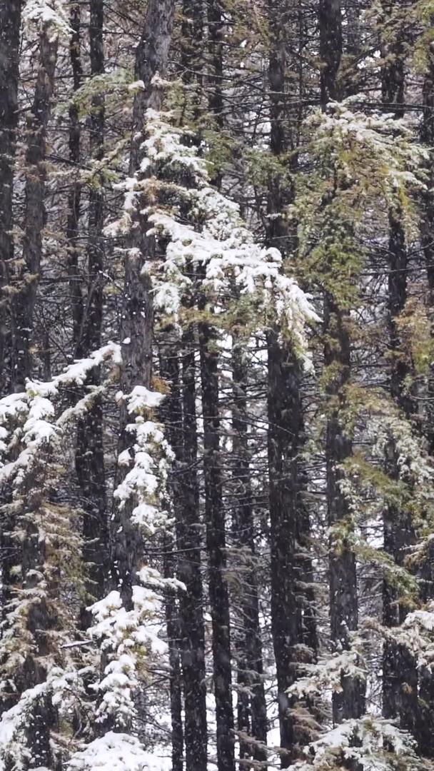 青海海北祁连县实拍雪景视频的预览图