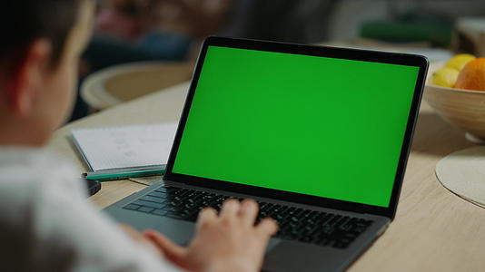 学生看笔记本电脑绿屏视频的预览图