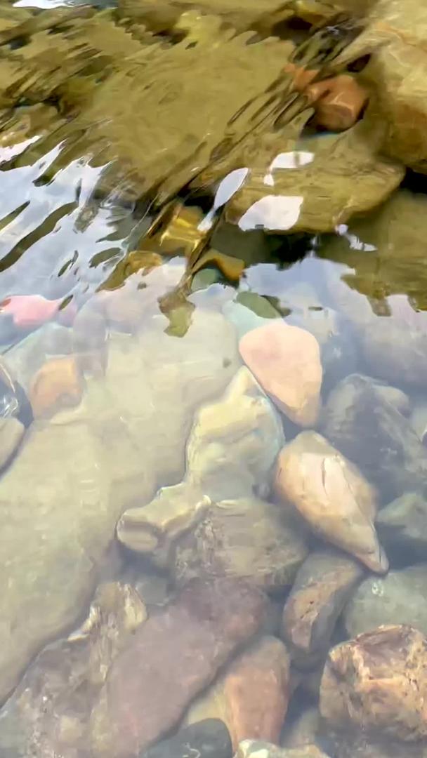 山脚下山泉水里冰镇西瓜视频的预览图