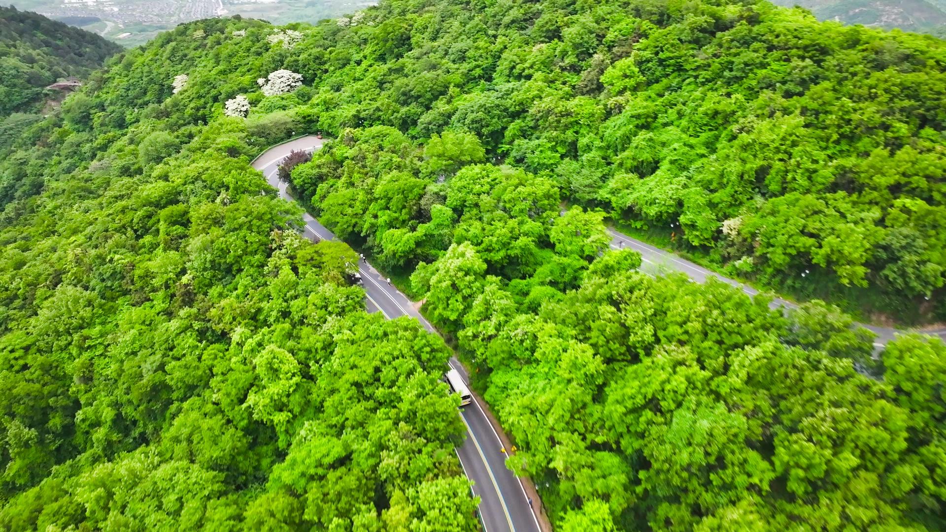 四K航拍环山公路山间公路森林公路视频的预览图