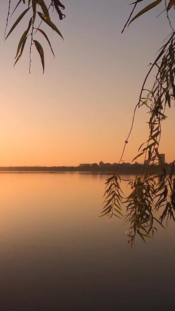 延迟摄影的武汉藏龙岛湖面日落视频的预览图