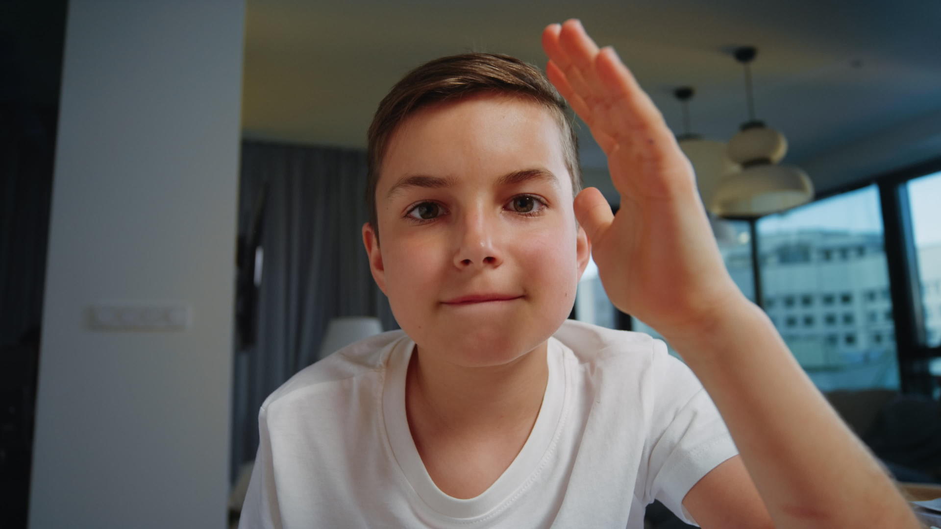 聪明的男孩在网上上课时举手视频的预览图