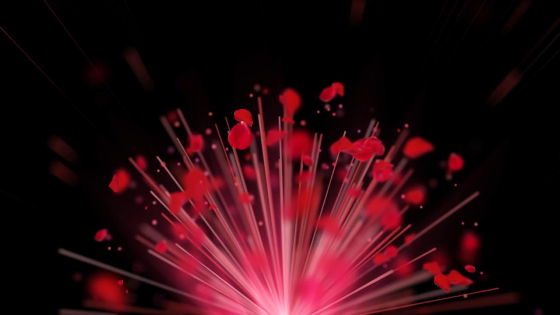 玫瑰花瓣动态粒子拖尾视频背景元素视频的预览图