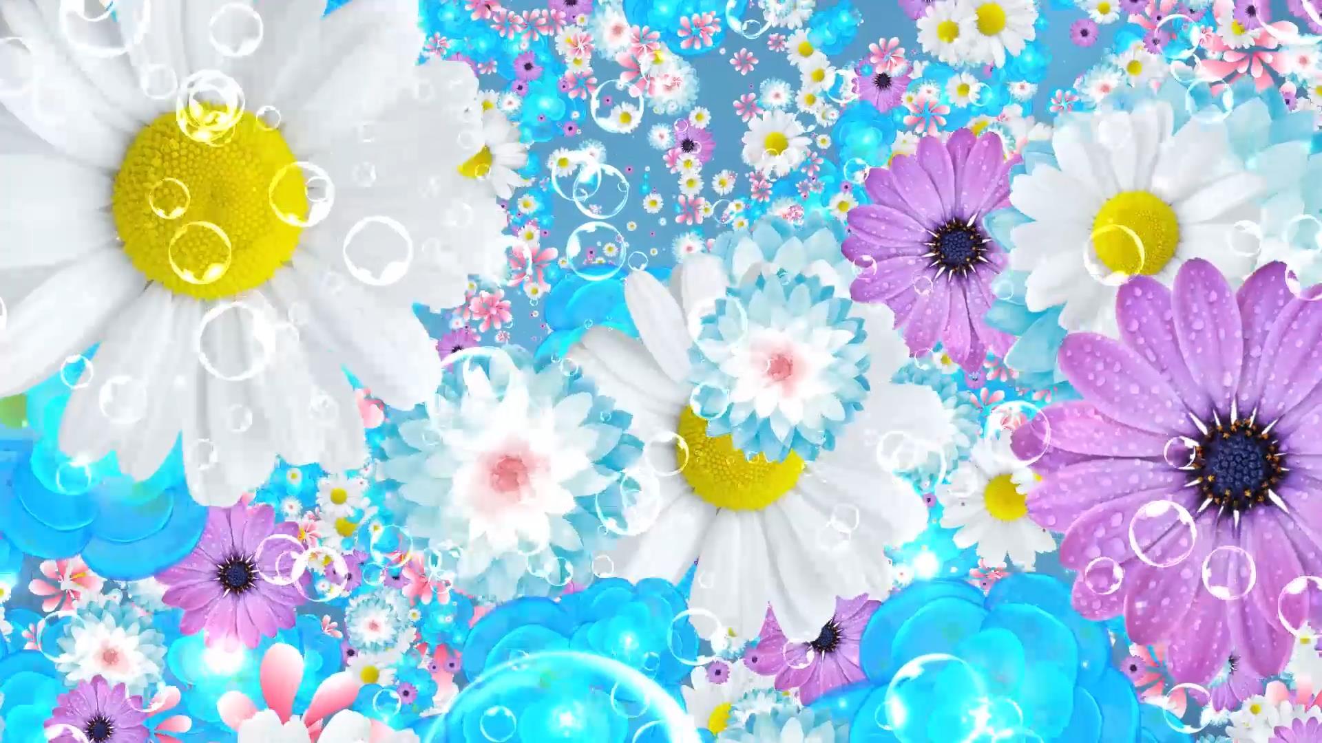 唯美清新花瓣动态气泡背景视频元素视频的预览图