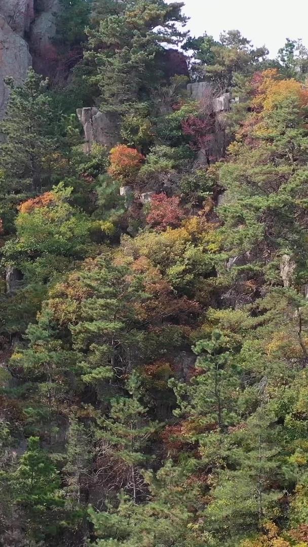 青岛崂山秋景航拍视频视频的预览图