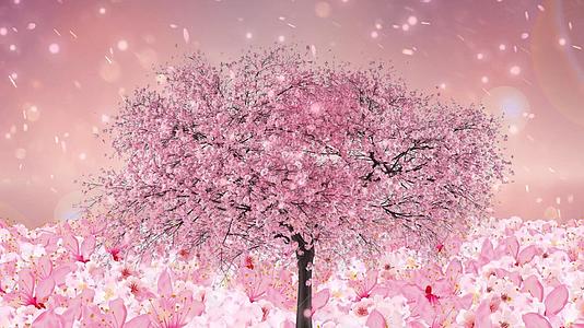 唯美动态樱花树大气花海背景视频元素视频的预览图