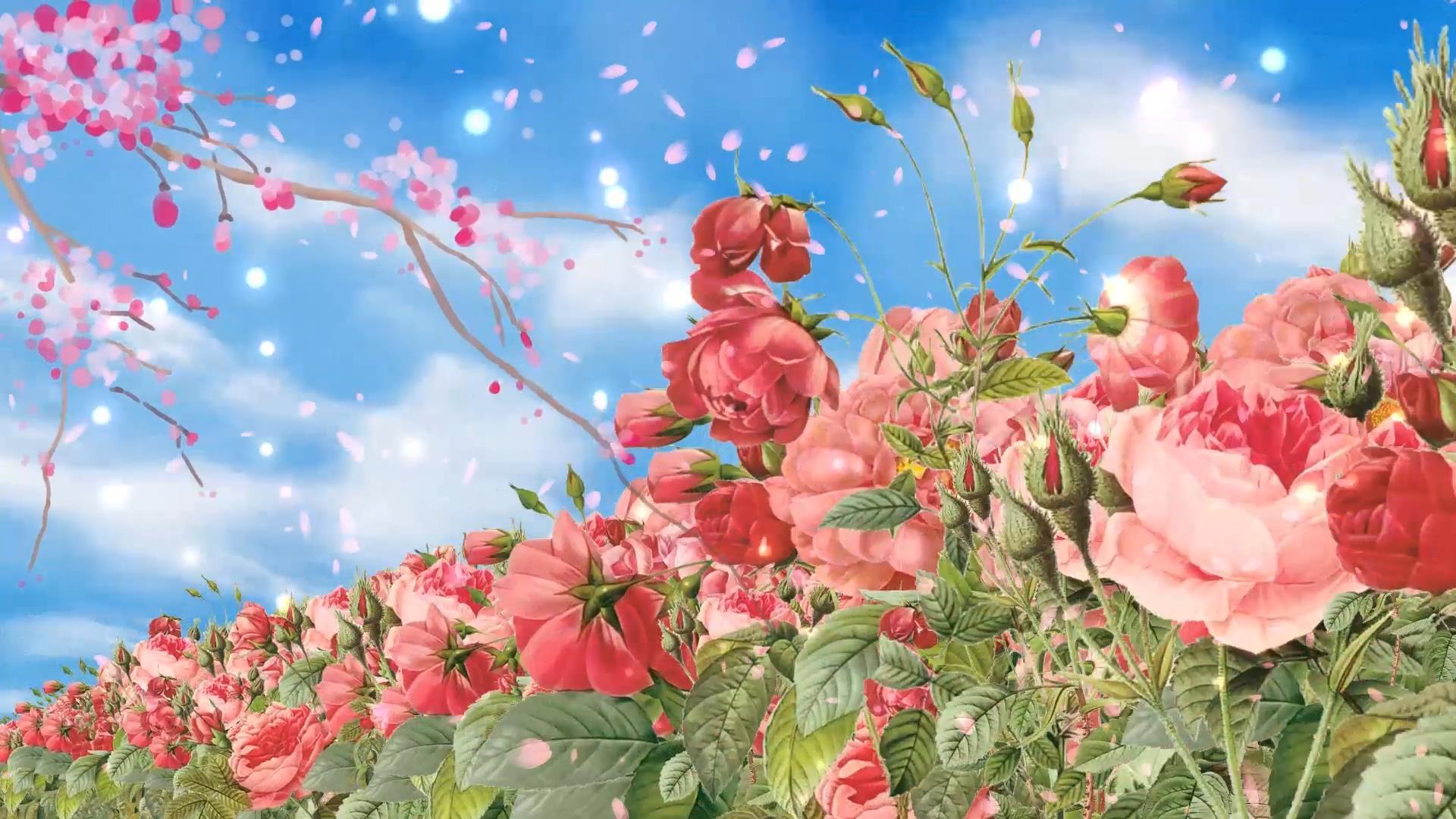 动态唯美花海花瓣飘下背景视频元素视频的预览图