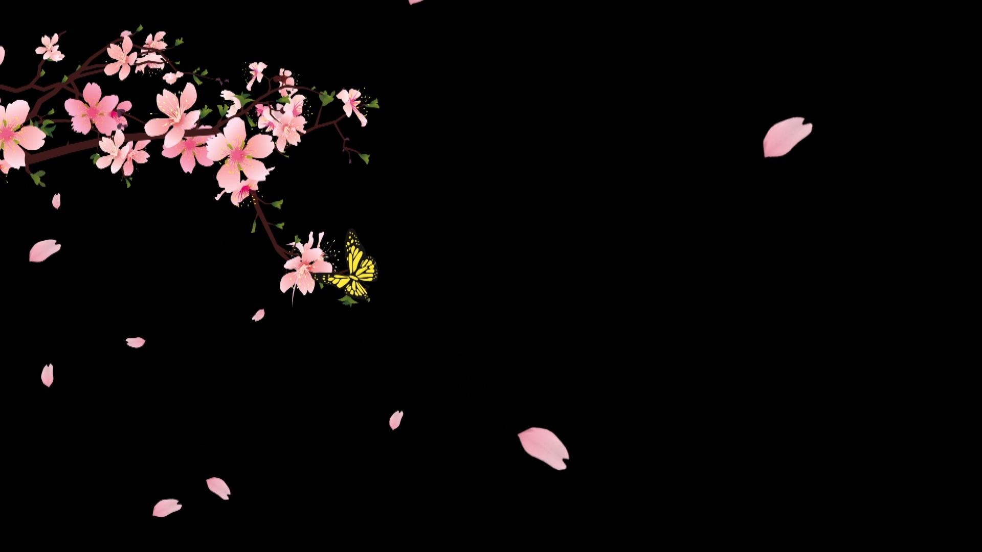 桃花树枝蝴蝶通道视频的预览图