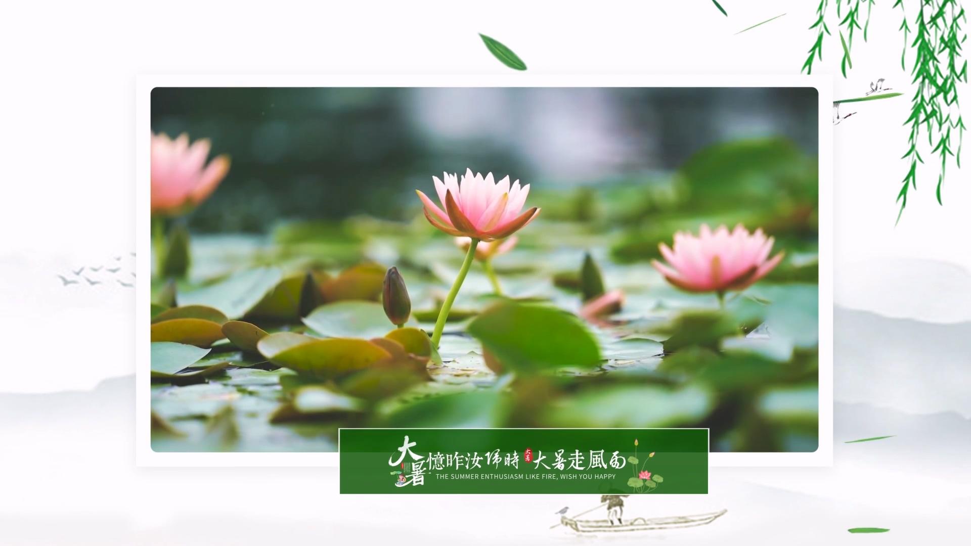 简洁大气大暑图文展示AE模板视频的预览图