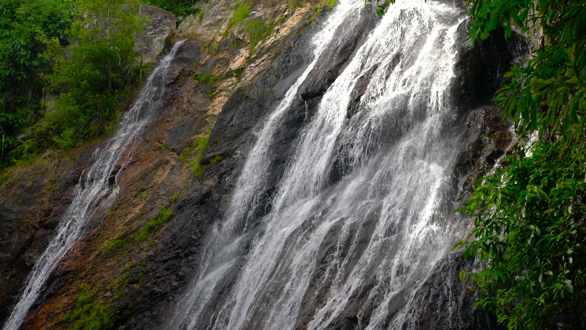 森林瀑布流水合集4k含声音视频的预览图
