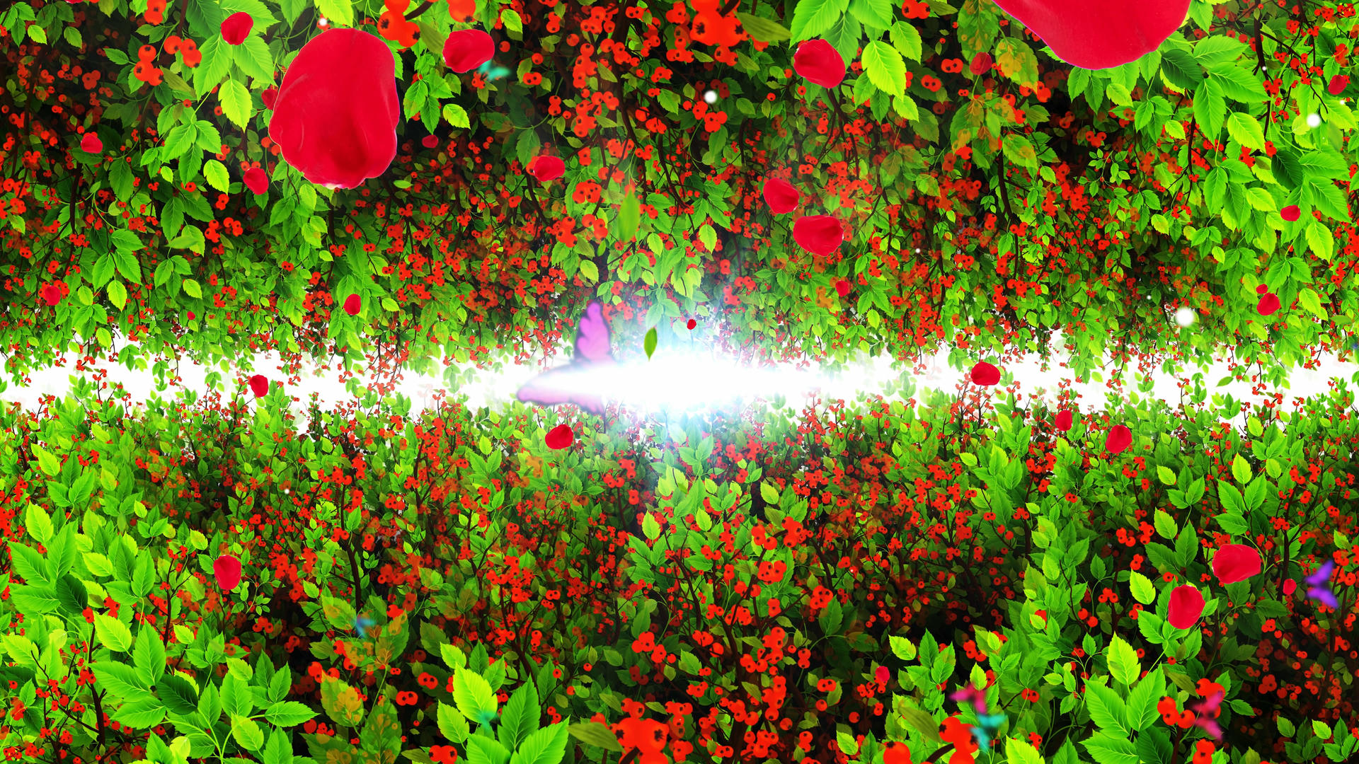 4K唯美的樱桃背景素材视频的预览图