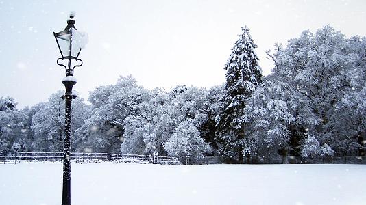 冬季雪景视频素材视频的预览图