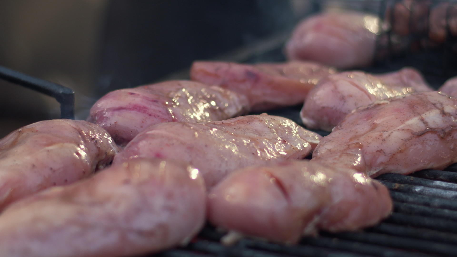 在户外烤箱烤鸡胸肉视频的预览图