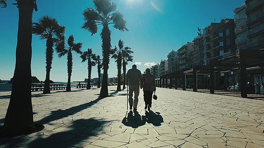 老夫妇在海滨赛道上行走视频的预览图