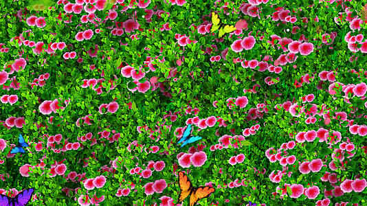 4K唯美的花草背景素材视频的预览图
