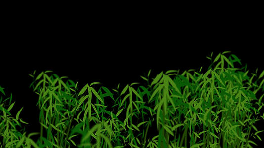 透明通道竹子视频素材视频的预览图