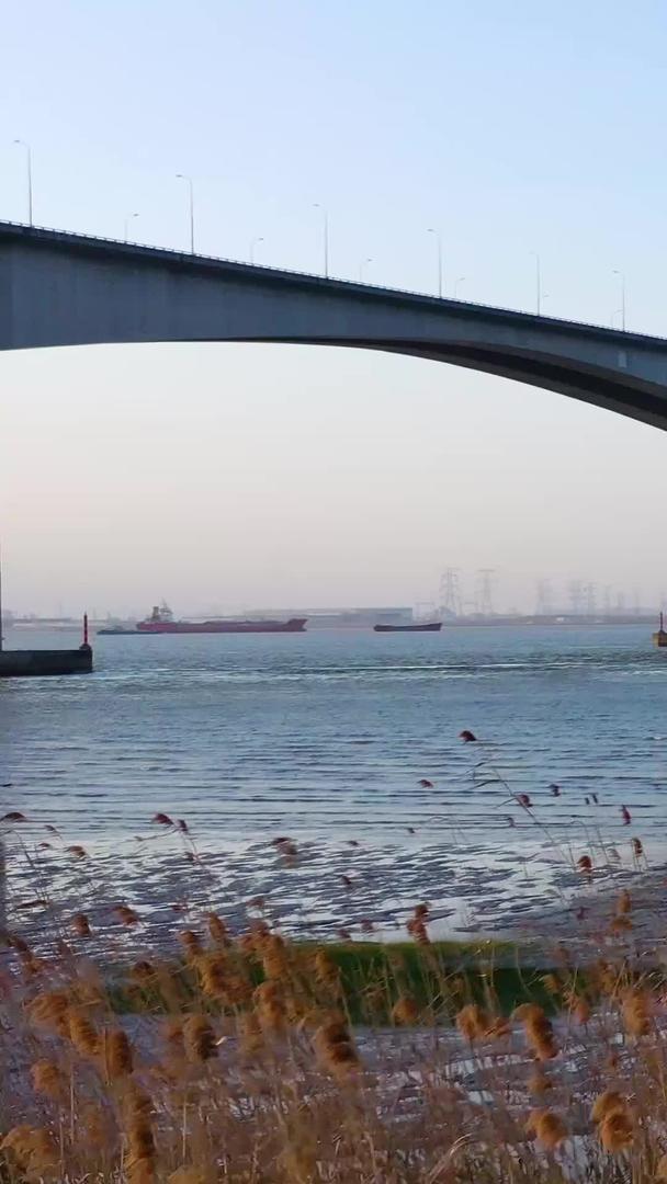 苏通长江大桥航拍视频的预览图