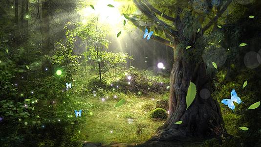 森林动态唯美粒子光效视频背景元素视频的预览图