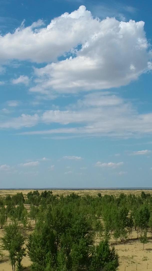 内蒙古植树造林航拍视频的预览图