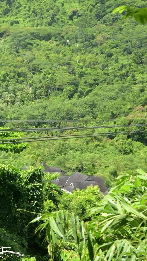 高空滑索海南三亚呀诺达雨林景区视频的预览图