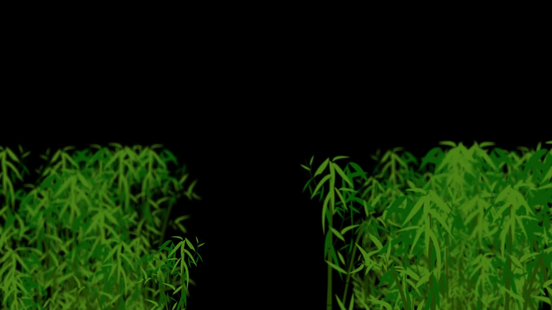 透明通道竹林竹子视频素材视频的预览图