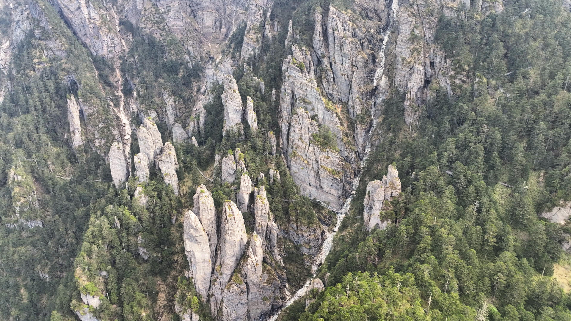 湖南旅游张家界武陵山区森林地质公园自然景观4k素材视频的预览图