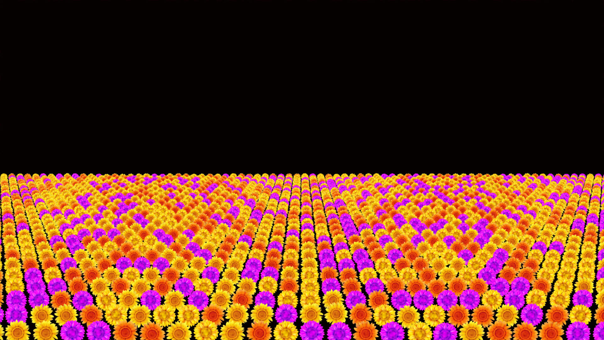 粒子三维向日葵动画元素带透明度通道视频的预览图