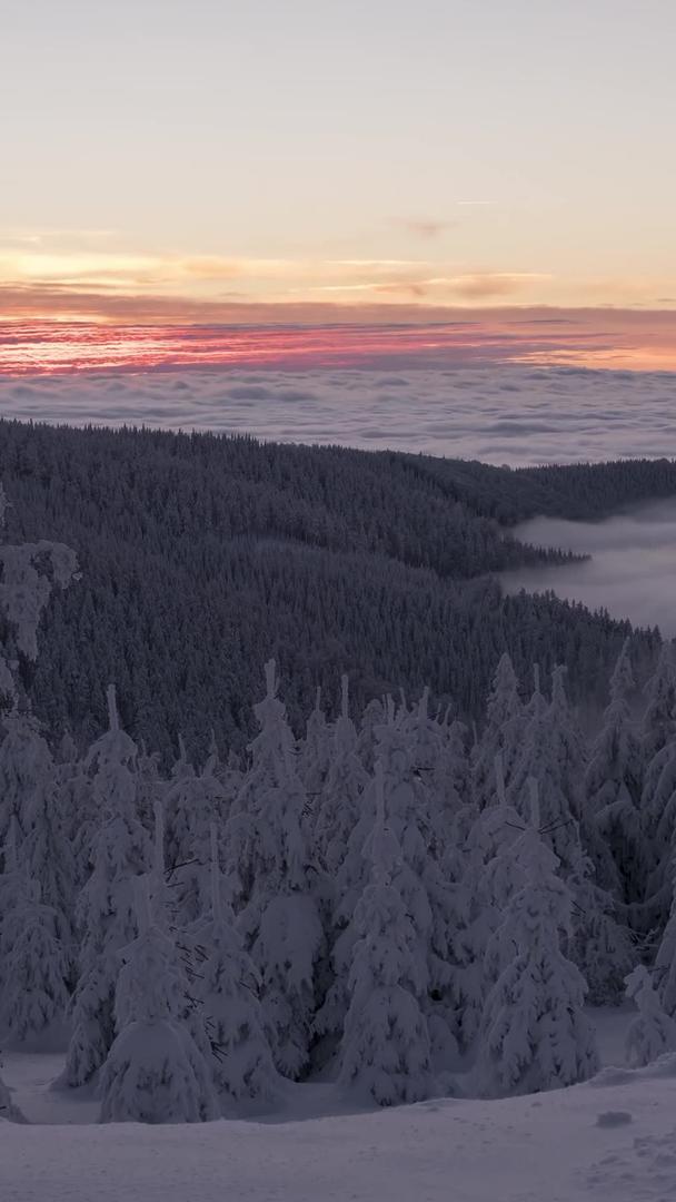冬天雾凇森林云海延迟视频的预览图