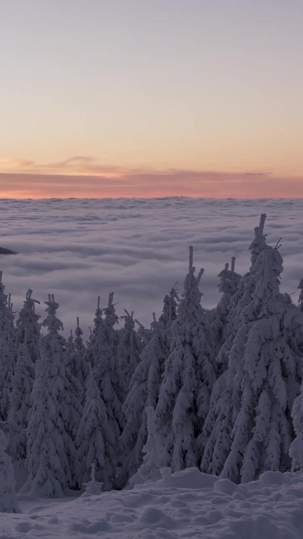 冬天雾凇森林云海延迟视频的预览图