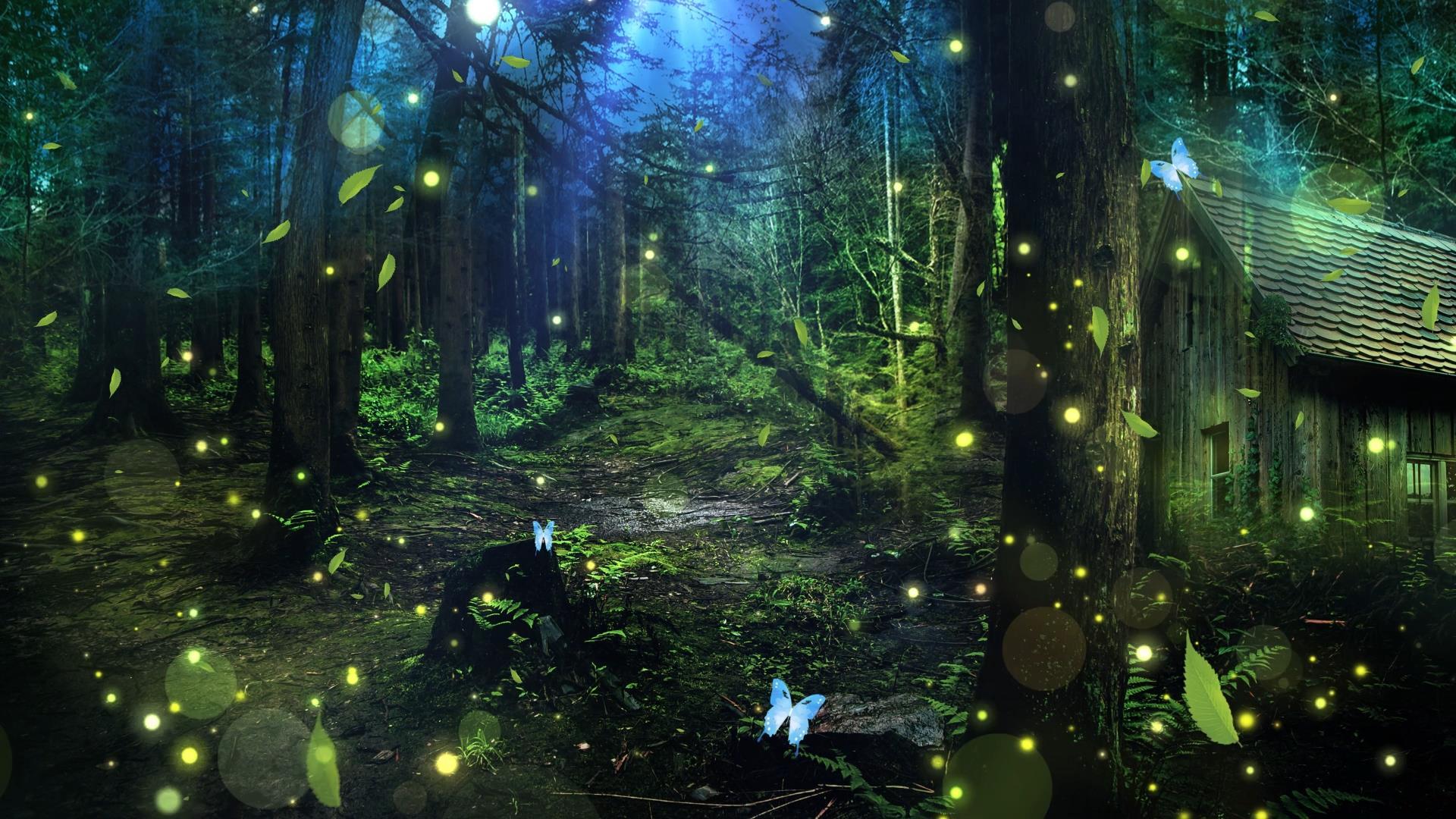 黑夜唯美森林荧光粒子动态视频背景元素视频的预览图