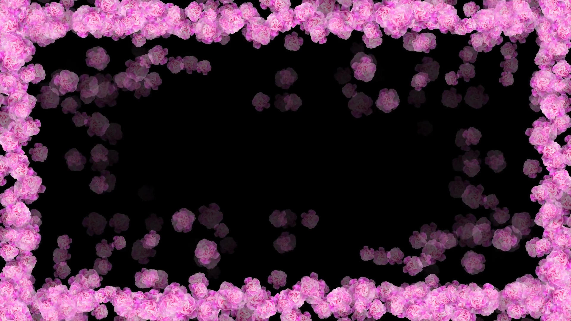 紫色杜丹边框原创视频的预览图