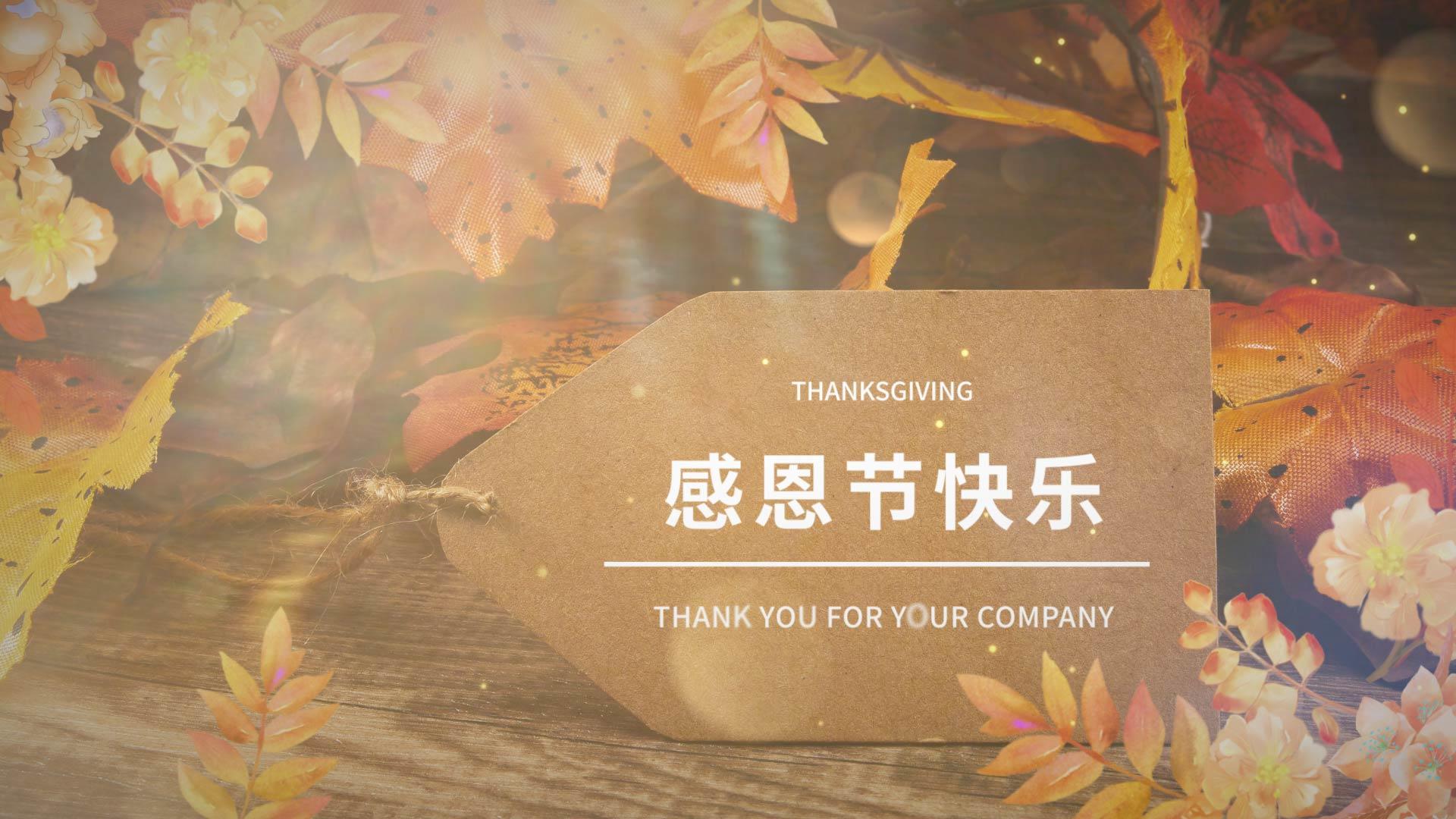 感恩节节日片头片尾视频AE模板视频的预览图