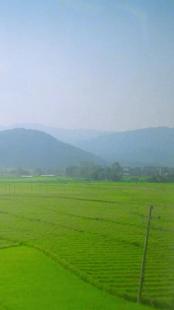 高速铁路窗外视角稻田播种视频的预览图