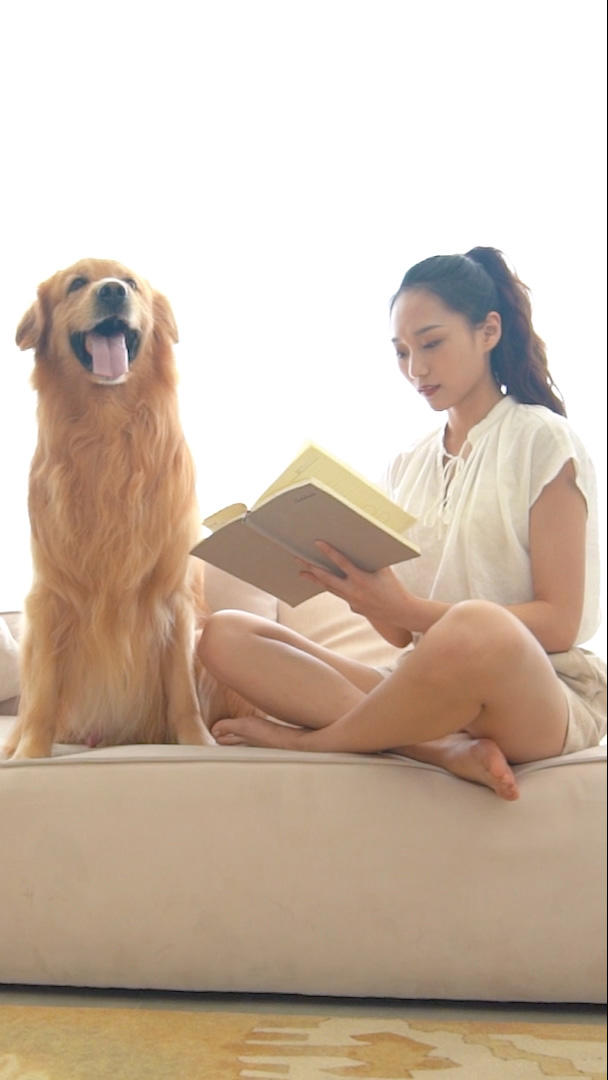 居家女生和金毛犬坐在沙发看书视频的预览图