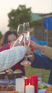 朋友们在户外庆祝喝香槟碰杯视频的预览图