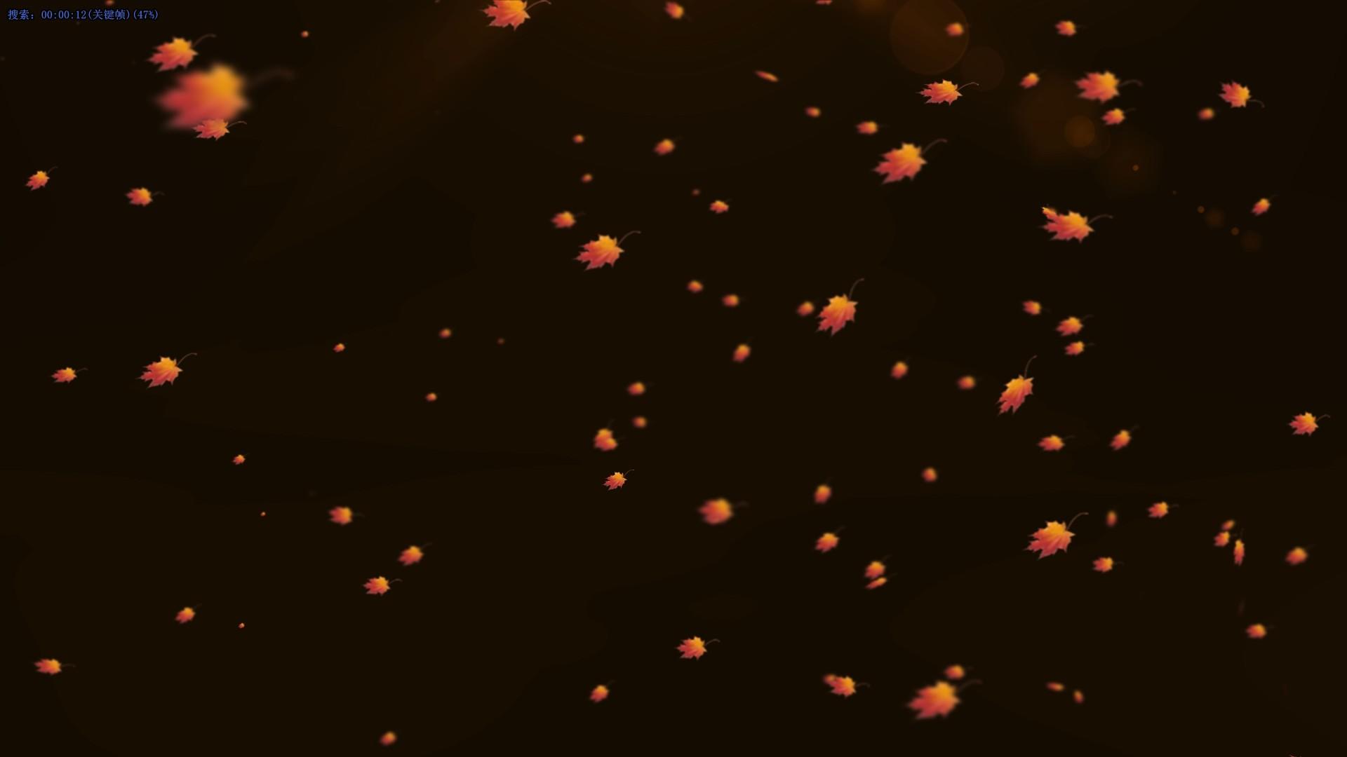 唯美枫叶飘落背景视频的预览图