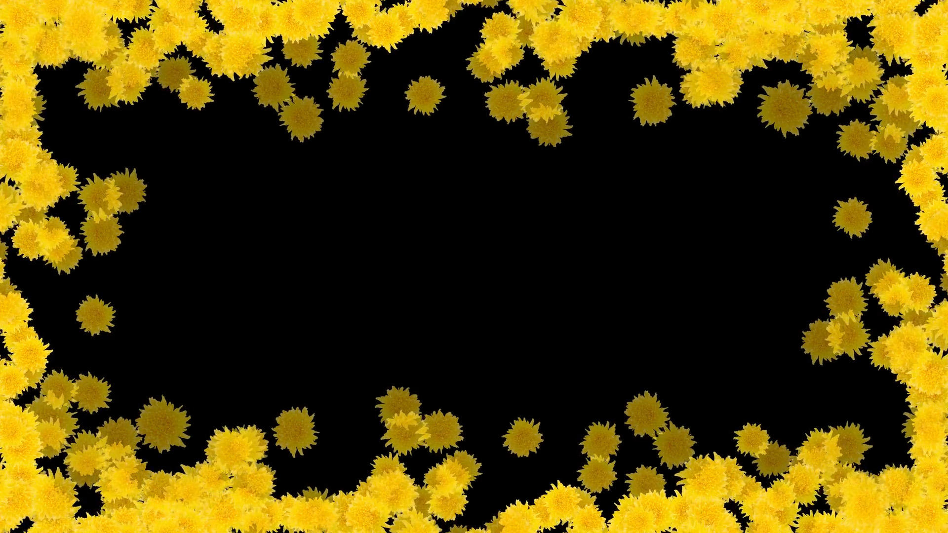 灿烂金菊边框潮点视频视频的预览图