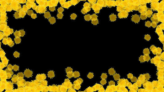 灿烂金菊边框潮点视频视频的预览图
