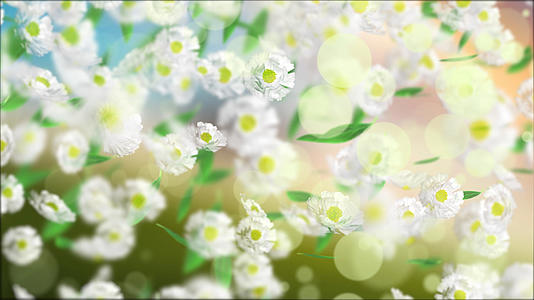 4K唯美清新白色花朵粒子景深背景视频的预览图