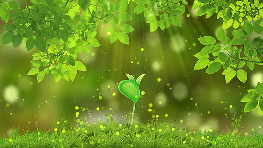 4K清新绿色幼苗生态环保背景视频的预览图