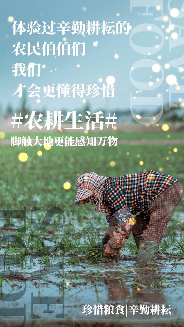 世界粮食日农耕生活公益宣传摄影视频海报视频的预览图