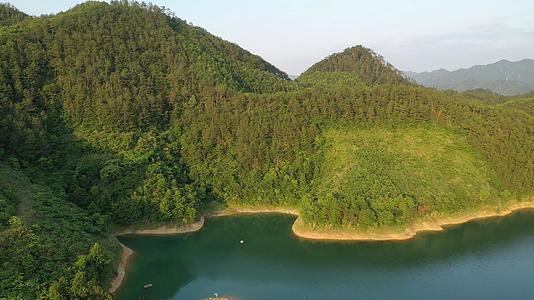 千岛湖上植被视频的预览图