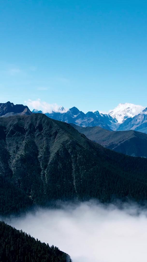 航拍藏区云海之上的山脉和远处雪山的自然风光视频的预览图